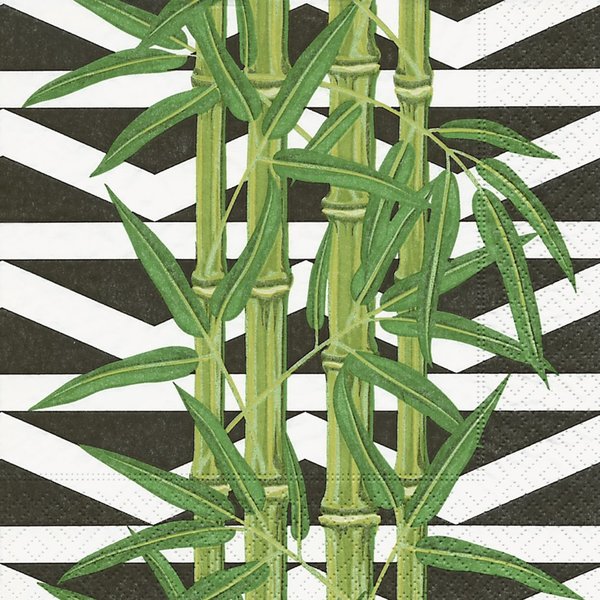 Bambus -blätter