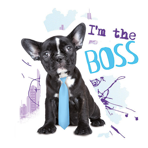 Dog ! I´m the boss !