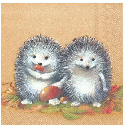 Welcome little friends  hedgehogs