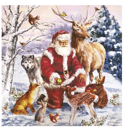 Weihnachtsmann mit Tieren
