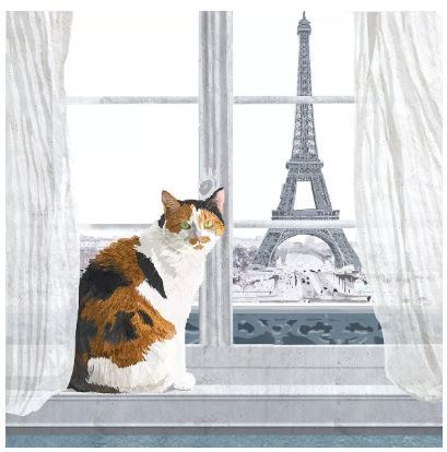 Madeleine a Paris Katze