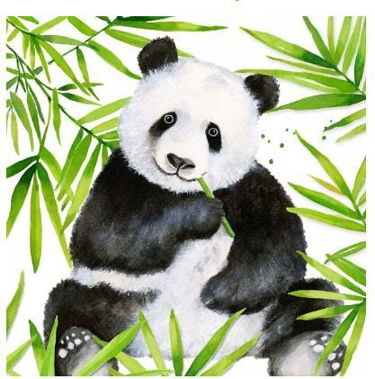 Tropical panda