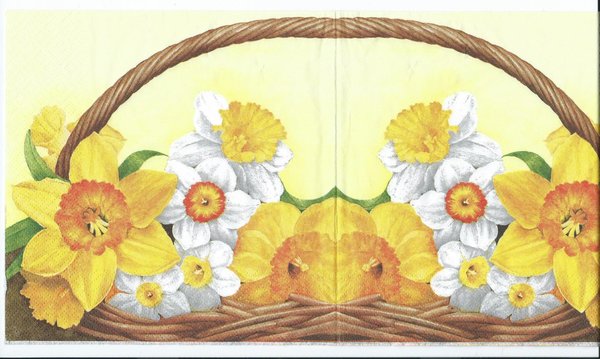 Daffodil basket