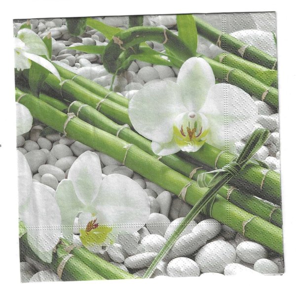 Elegance Orchidee und Bambus