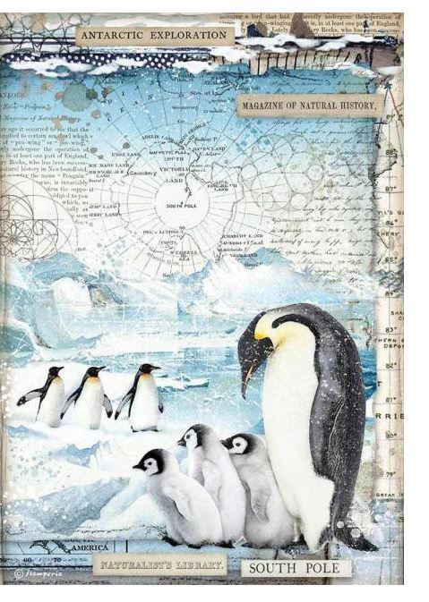 Reispapier Pinguin