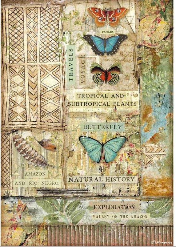 Reispapier Amazonien Schmetterling