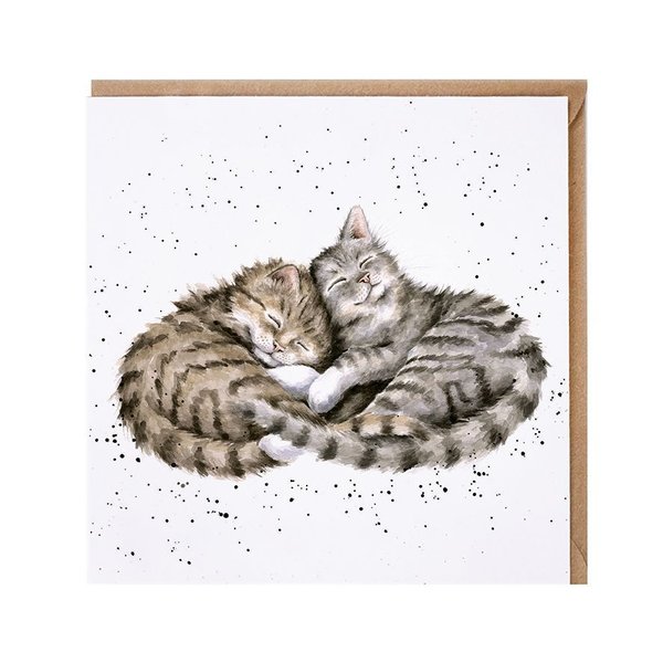 Wrendale Doppelkarte  Katzen "sweet dreams"