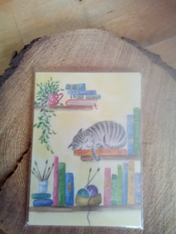 Postkarte Künstler-Postkarte Katze im Bücherregal