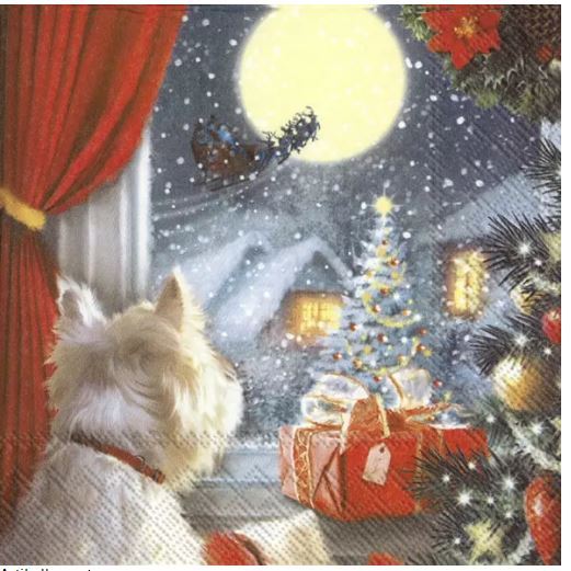 Dog is waiting for christmas