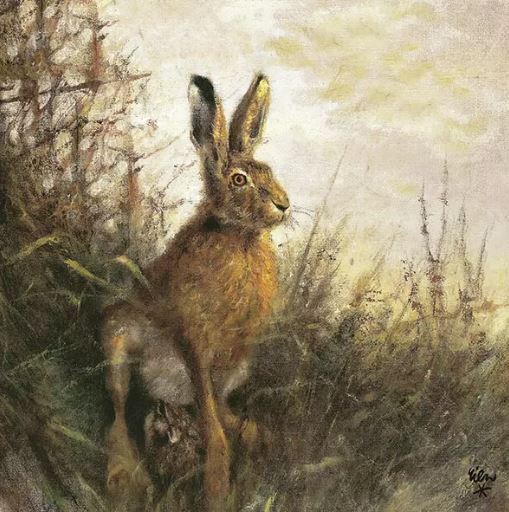 Portrait of hare