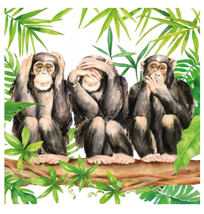 Three apes , 3 Affen