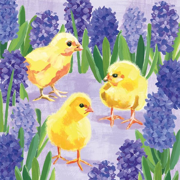 Chicks in hyacinth