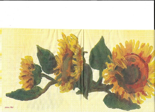 Molca Sonnenblumen